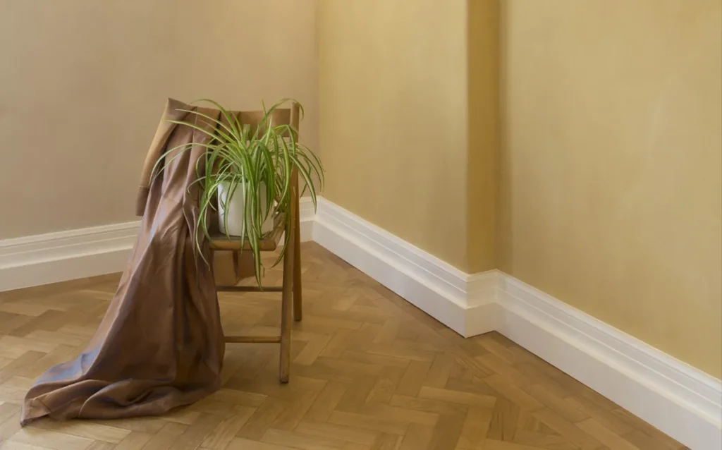 Healthy Homes – Guest Blog