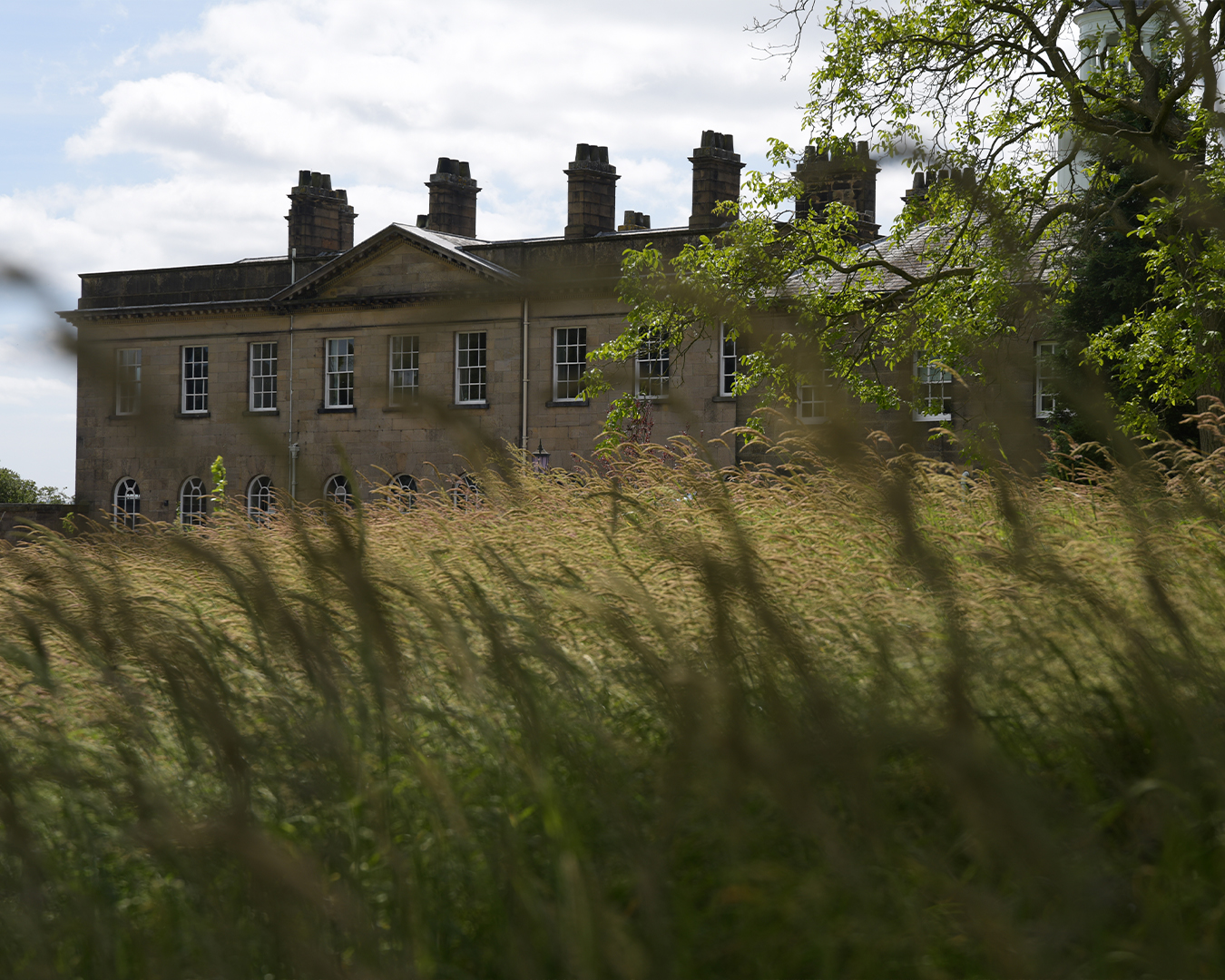 Material Honesty: BOX 9 on Restraint, Craft and Nature-Led Design