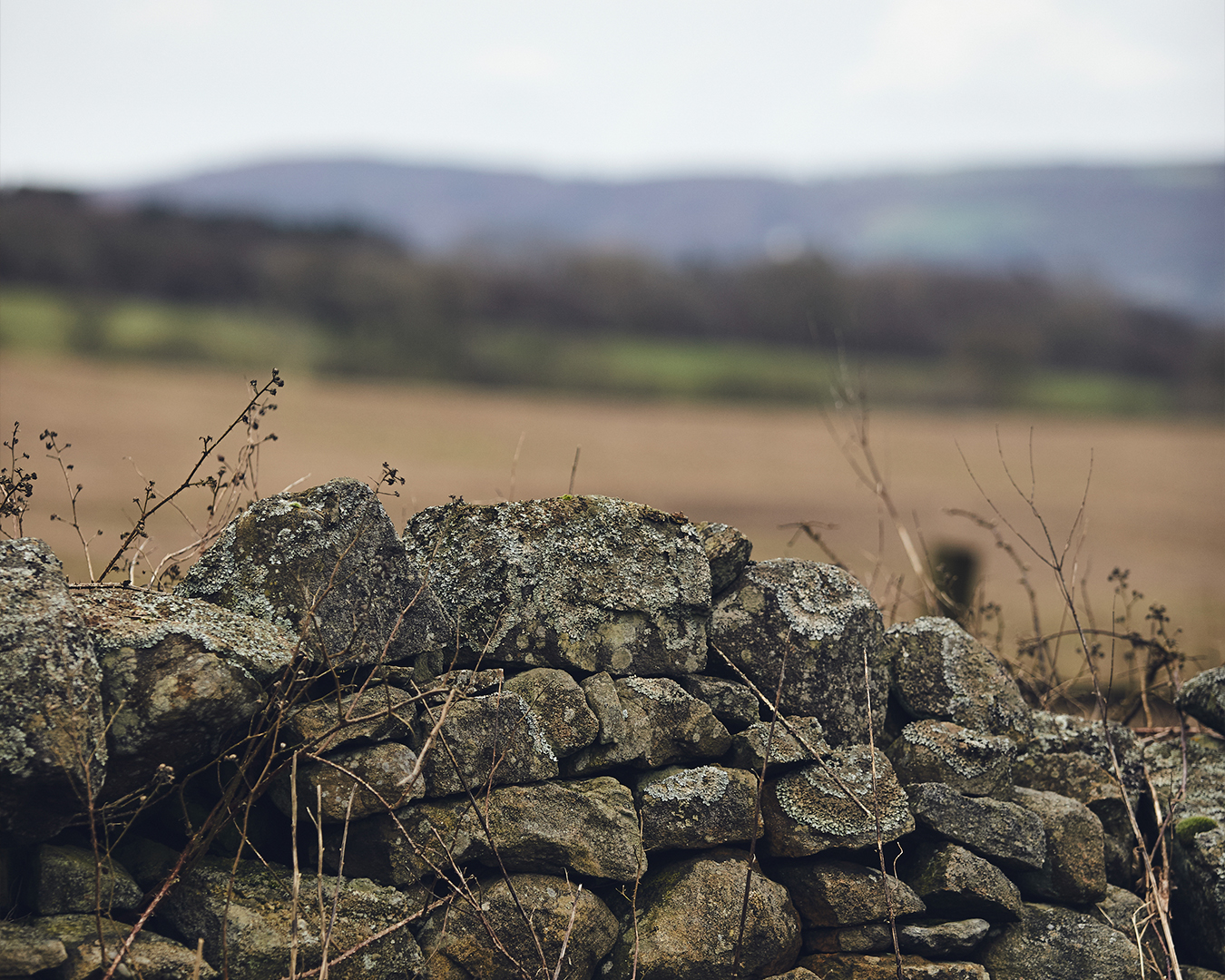 Material Honesty: BOX 9 on Restraint, Craft and Nature-Led Design