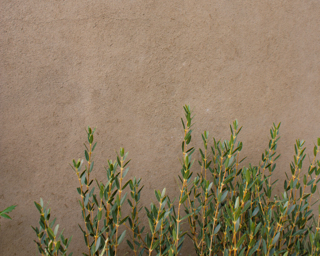 Clayworks at RHS Chelsea Flower Show 2026: Earthen Finishes and Traditional Crafts Take Centre Stage