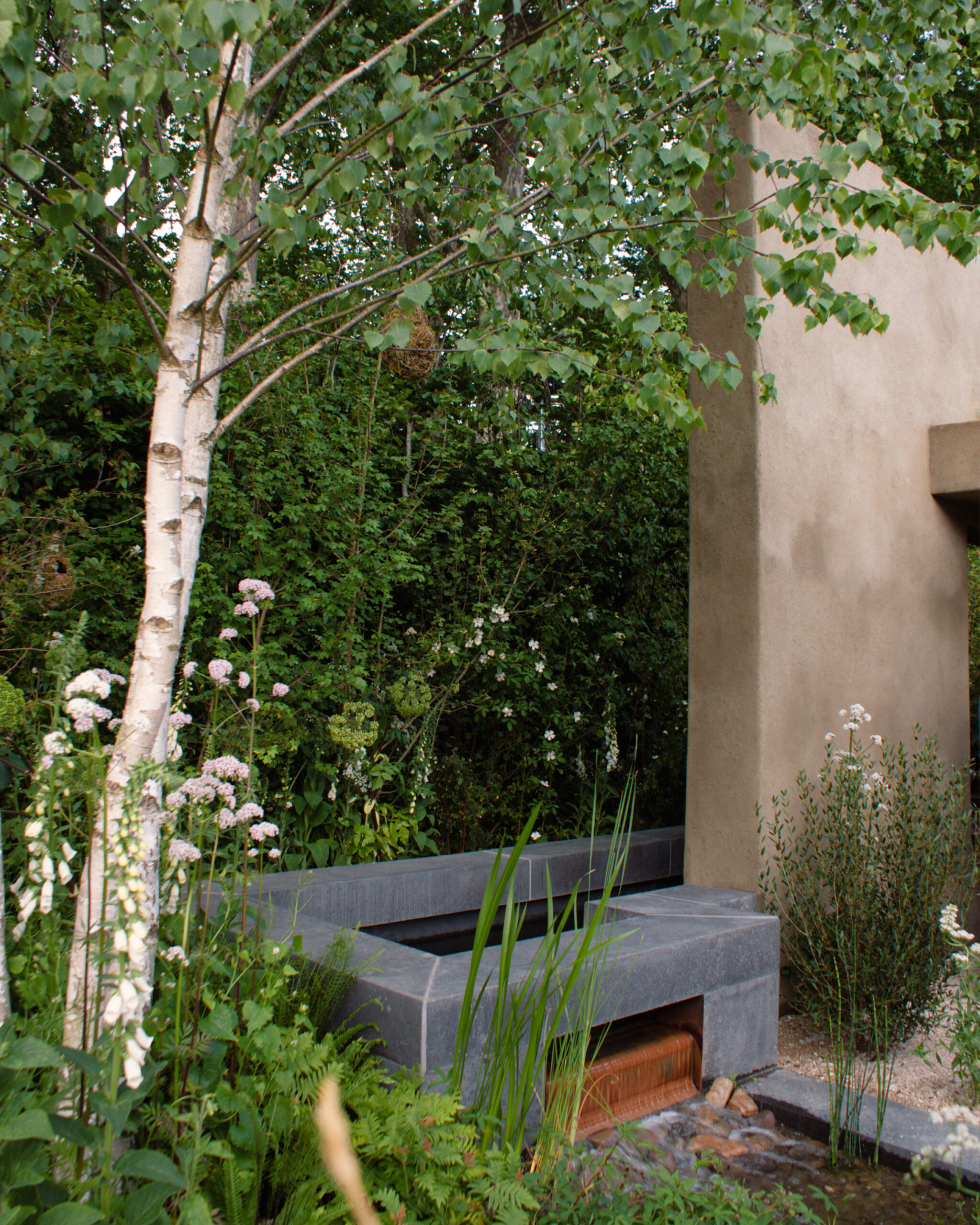 'A Seed in Time' RHS Chelsea Show Garden