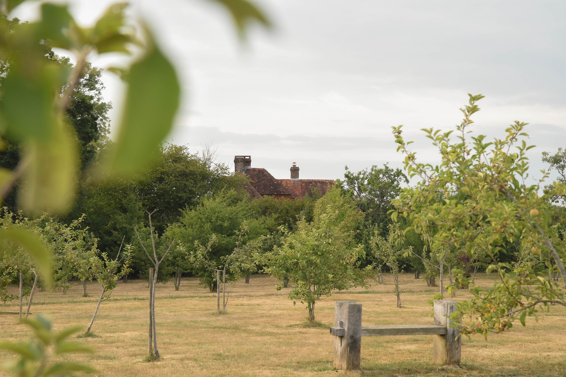 College Farm